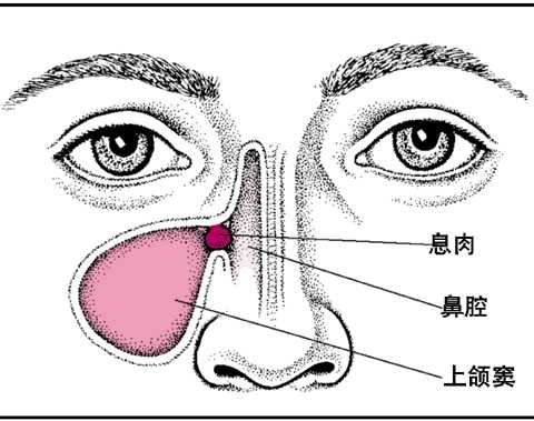 ��213�ڡ��Ǽ���񼼲��