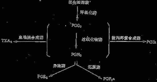 第八节 松果体其他