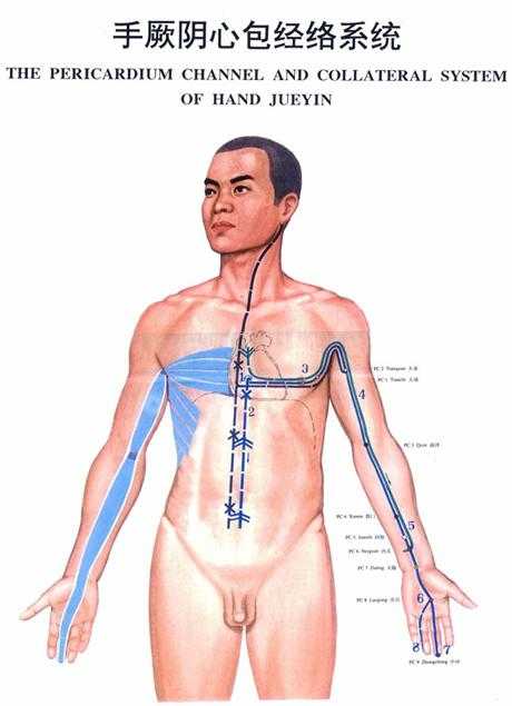 �������İ��羭Ѩ�ִ��