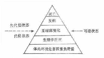 第三节 环境因素与健康的关系