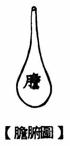 足少阳胆经